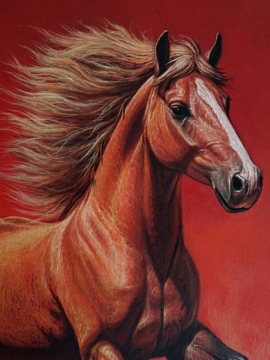 Energy and Spirit of the Horse