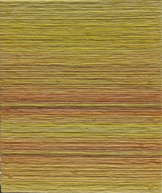 Yellow Chrysanthemum