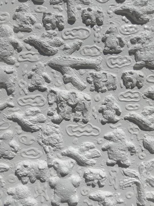 Flora Fauna #1